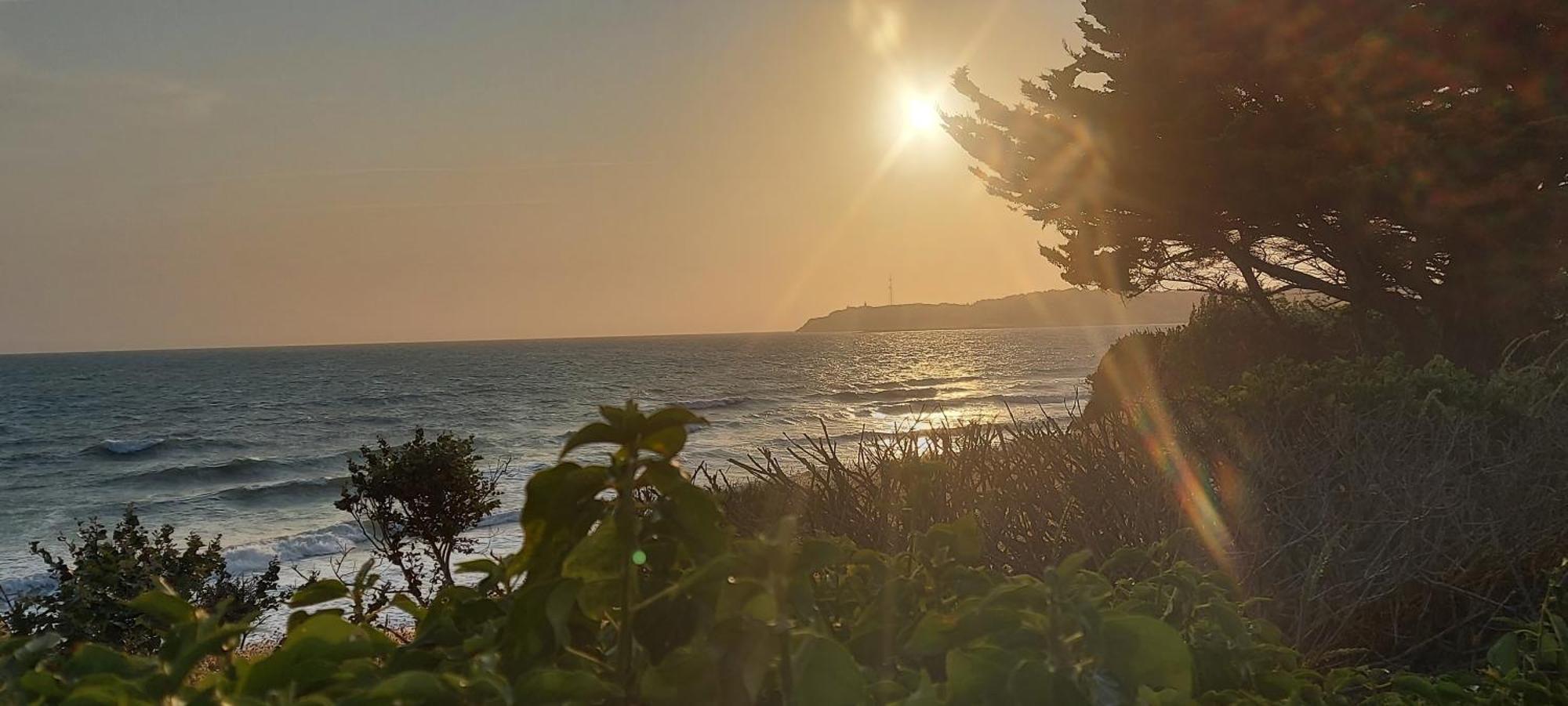 Les Sables D'Or - Joli T3 200M De La Plage Barneville-Carteret Exterior foto